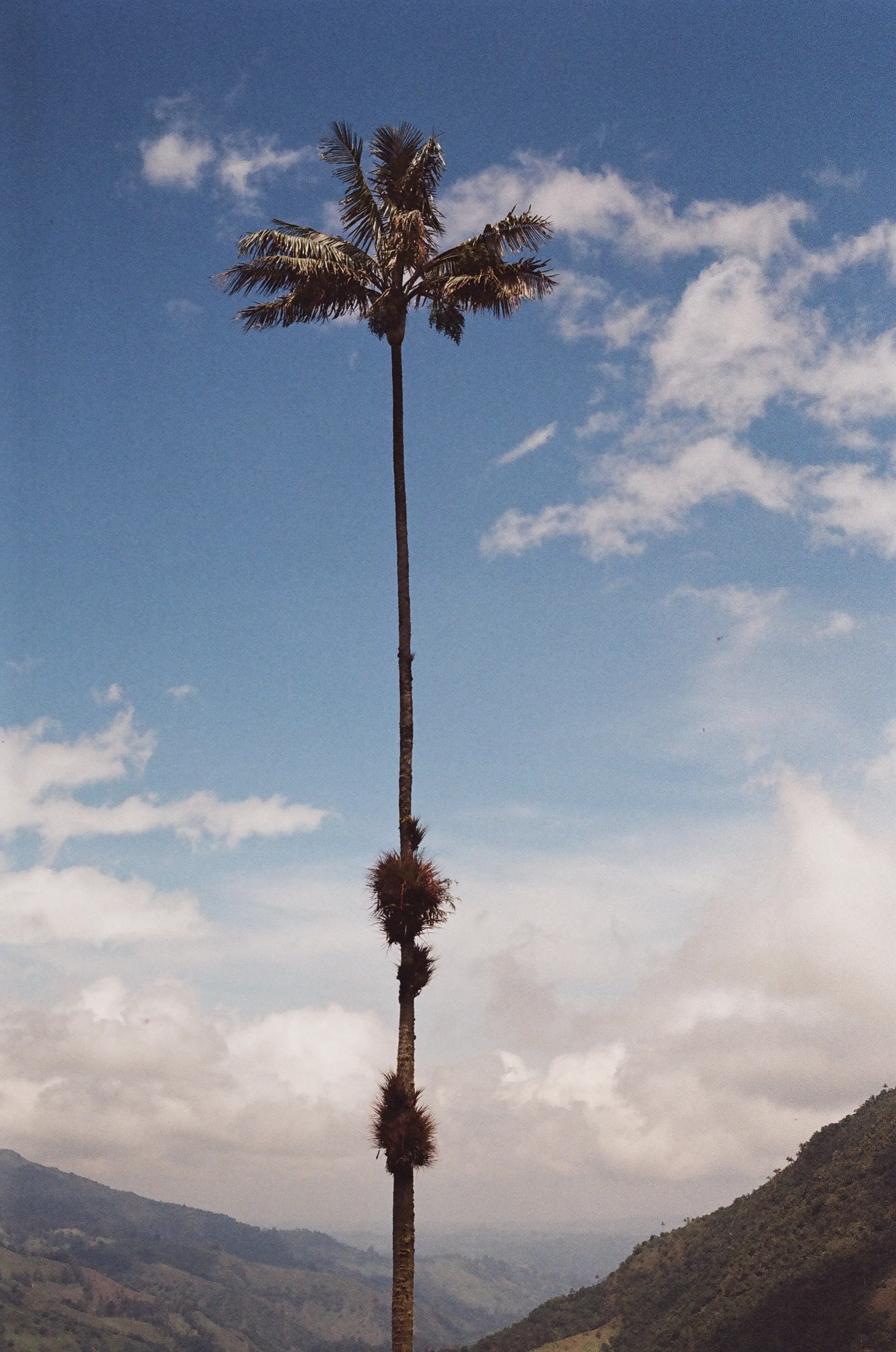 Colombia