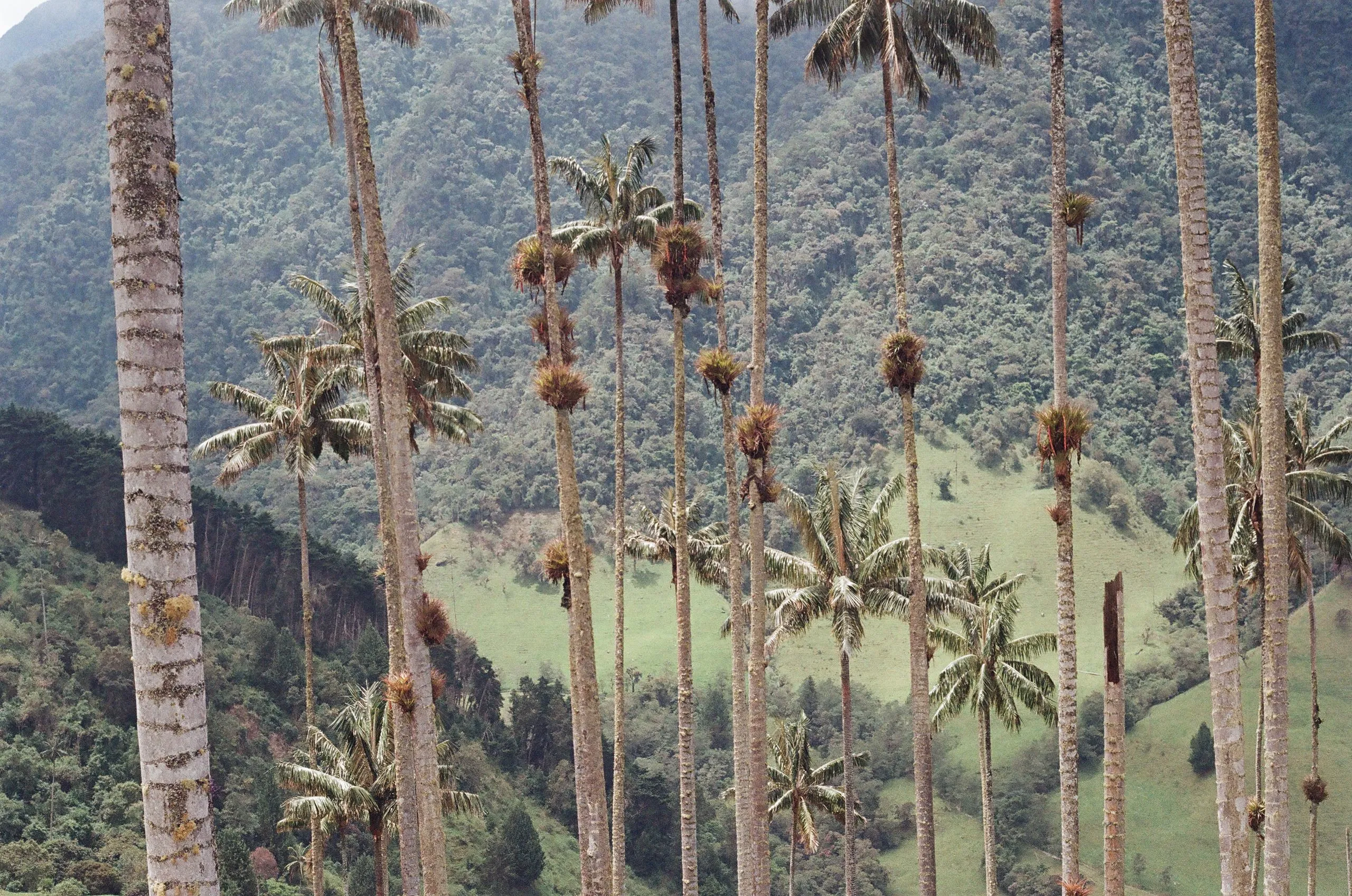 Colombia