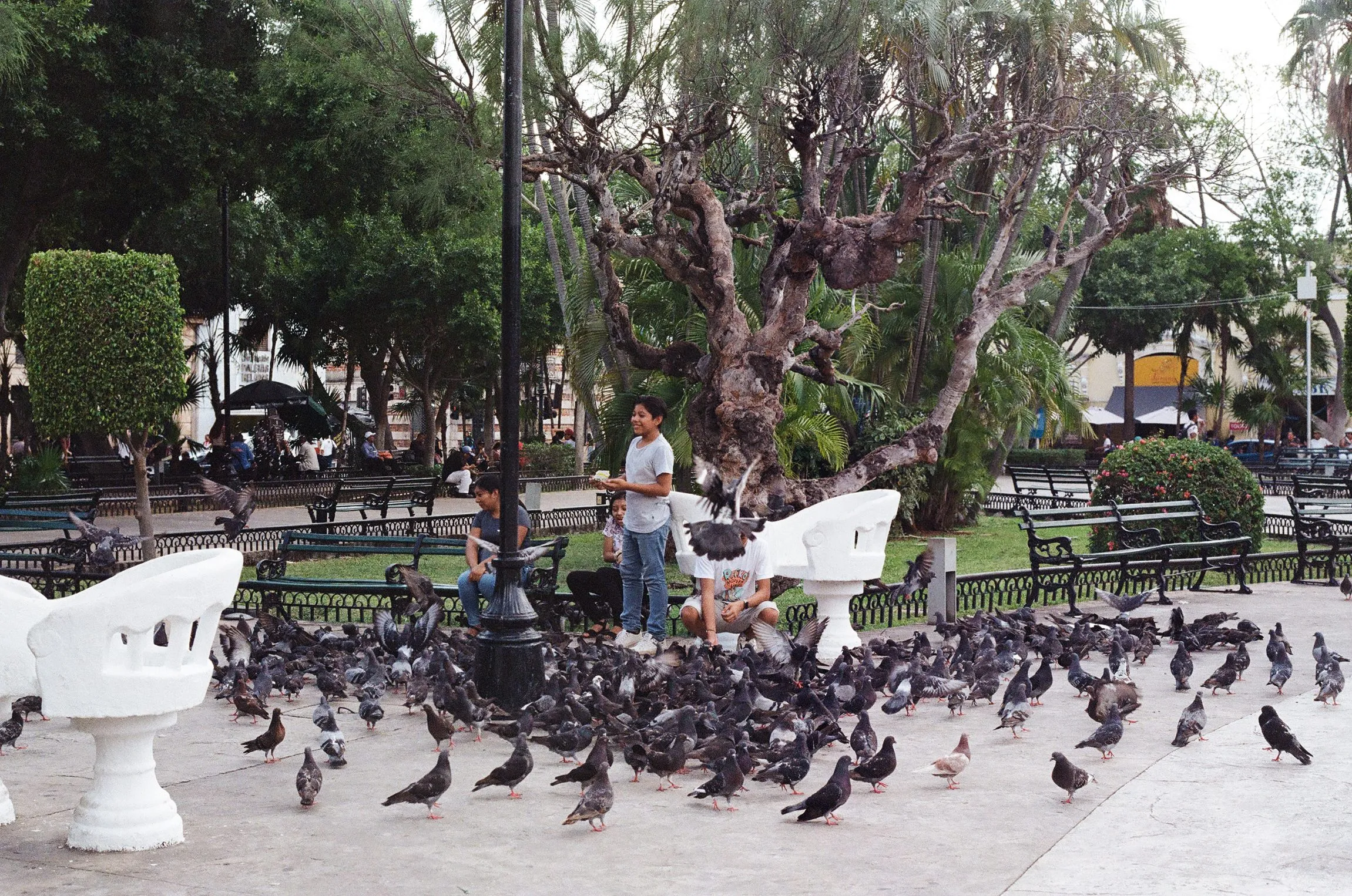 Mexico